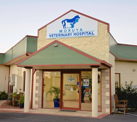 Moruya Veterinary Hospital - Moruya, NSW