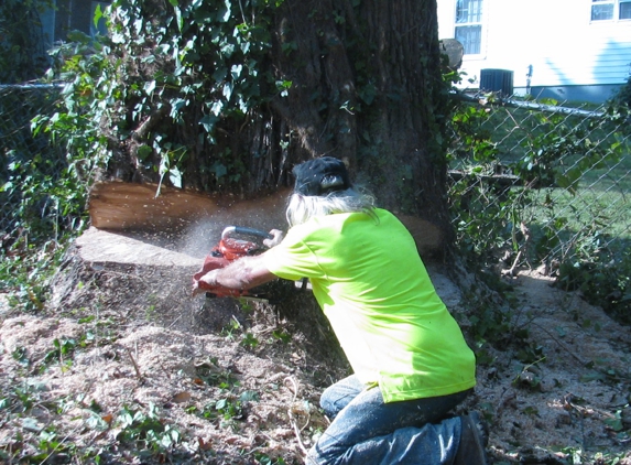 Metcalf's Tree Service - Johnson City, TN