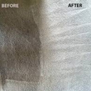 Organic Carpet Cleaning Service Santa Clarita - Upholstery Cleaners