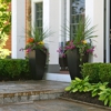 Custom Environments Landscape and Design gallery