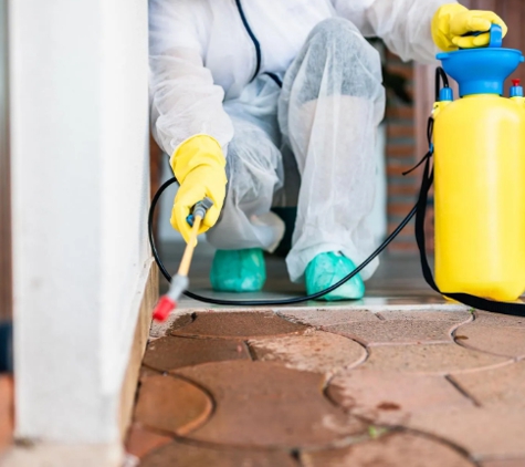 Black & White Pest Control - Greenbank, QLD