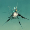 Speedy's Windshield Repair gallery