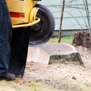 Twin Pines Tree Care & Landscape - Tree Service