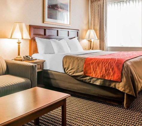 Comfort Inn - Utica, MI