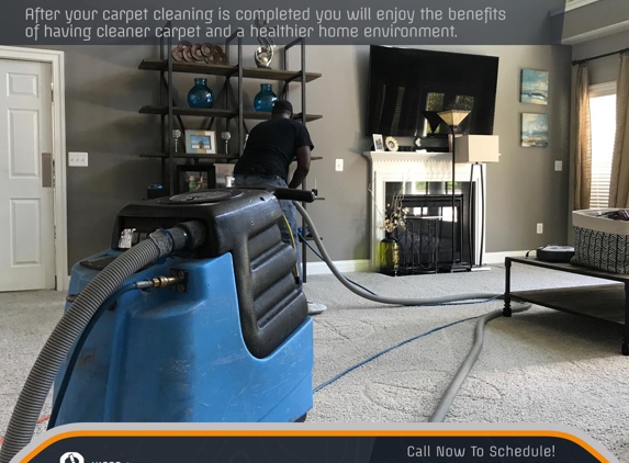 Hippo Carpet Cleaning Ellicott City - Ellicott City, MD. CARPET CLEANING FOR HEALTHIER ENVIRONEMENT