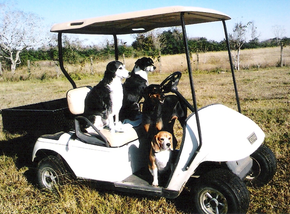 Animal Lovers Dog Resort - Manvel, TX