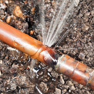 Leak Detector - Caulfield, VIC