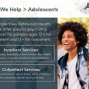 Eagle View Behavioral Health - Physicians & Surgeons, Psychiatry
