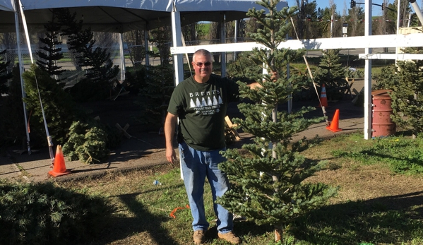 Brent's Christmas Trees - Oakland, CA