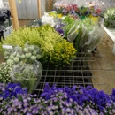 Washington Wholesale Florist Supply - Florist Supply Wholesalers & Manufacturers
