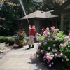 Custom Spray Lawn Care gallery