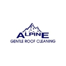 Alpine Gentle Roof Cleaning - Gutters & Downspouts