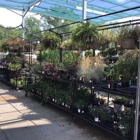 Tractor Supply Co