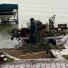 Thate's Tree Service gallery