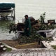 Thate's Tree Service