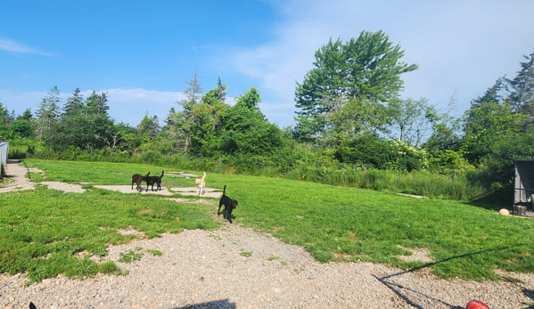 Peaks Paws Dog Boarding-Stay & Play - Chaumont, NY