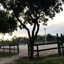 Miami International Riding Club - Stables