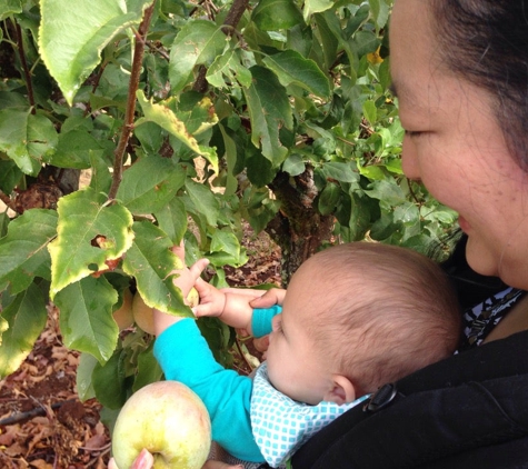 Apple Hill - Placerville, CA