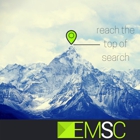 EM Search Consulting