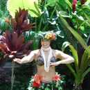 Paradise Island Dancers - Children's Party Planning & Entertainment