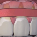 Charlotte Dentalpro - Dentists