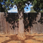 Superior Services Tree Care