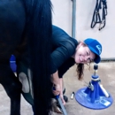 Angela's Farrier Services - Horseshoers