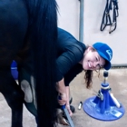 Angela's Farrier Services