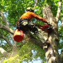 Geddie's Tree Service - Tree Service