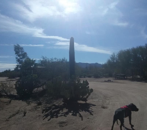 Tucson SnowBird Nest - Tucson, AZ. Snow Bird Nest Campground