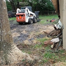 Extreme Tree & Landscape - Tree Service