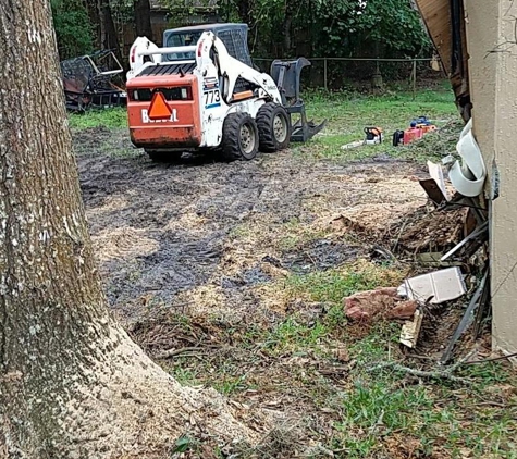 Extreme Tree and Landscape - Tallahassee, FL