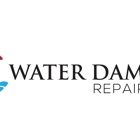 Water Damage Repair Tech