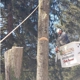 Saar's Tree Service,