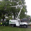 U-Save-More Tree Service gallery