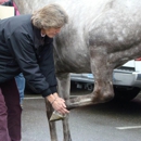 Pilchuck Veterinary Hospital - Equine - Veterinarians