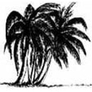 Eau Gallie Wholesale Nursery Inc. - Drainage Contractors