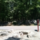 Rickwood Caverns State Park