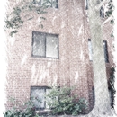 Morewood Court Apartments - Apartments