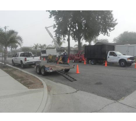 A & J Tree Service - Goleta, CA