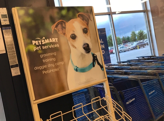 PetSmart - Easley, SC