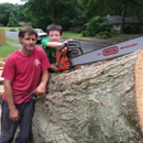 Jeff's Tree Service - Arborists