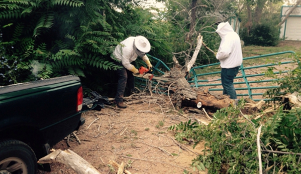 Mission Ready Tree Service