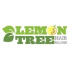 Lemon Tree Hair Salon Johnson City gallery