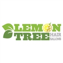 Lemon Tree Hair Salon Johnson City - Beauty Salons