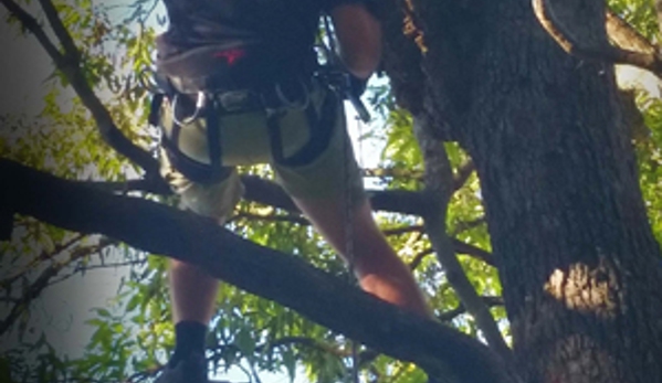 Termite Guys Brisbane