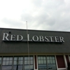 Red Lobster gallery