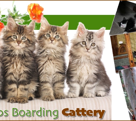 Treetops Boarding Cattery - Moorooduc, VIC. Unique Warm, Loving Home-Style Care & Dedicated Service