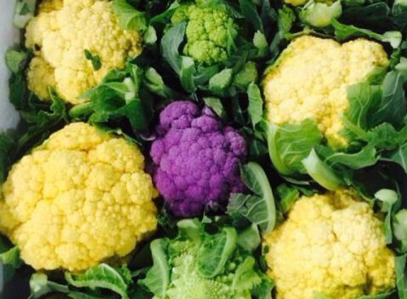 Peal Produce - Mayfield, NSW