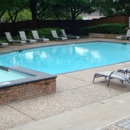 Monkey rock pool service - Swimming Pool Repair & Service